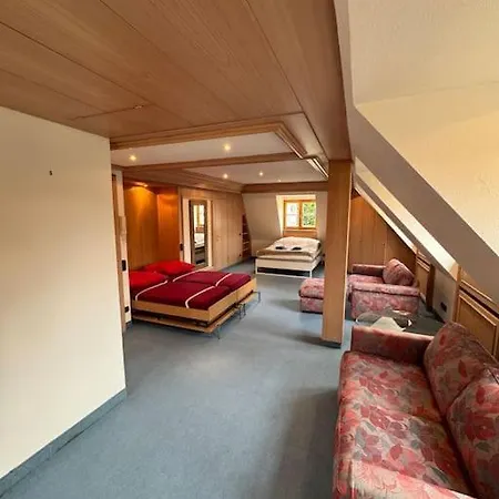 Dachgeschoss In Bahnhof- Und Seenaehe Apartment *